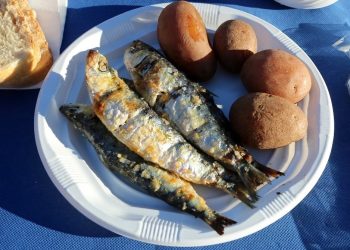 fertilizante sardinha