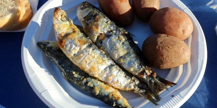 fertilizante sardinha