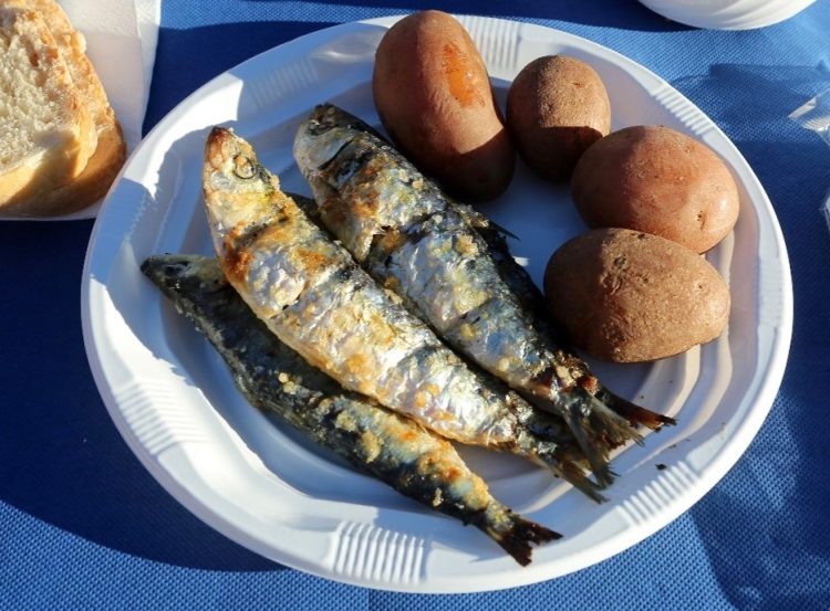 fertilizante sardinha