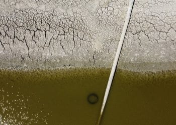 seca europa