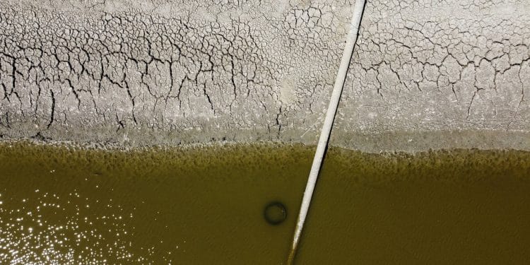 seca europa