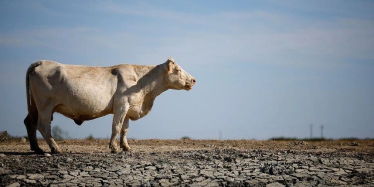 setor agrícola europa