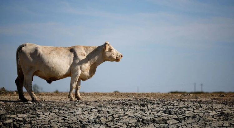 setor agrícola europa