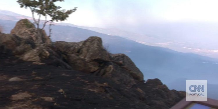 fogo serra da estrela