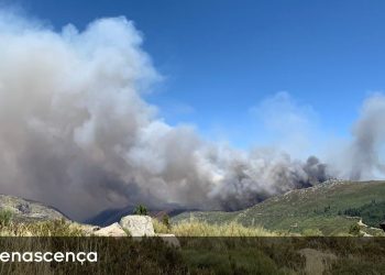 incendio serra da estrela