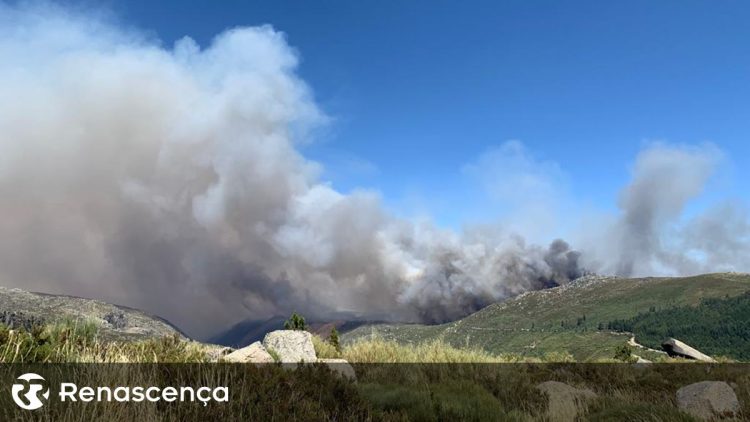 incendio serra da estrela