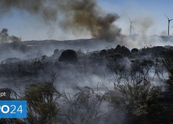 incendio serra