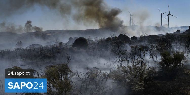 incendio serra