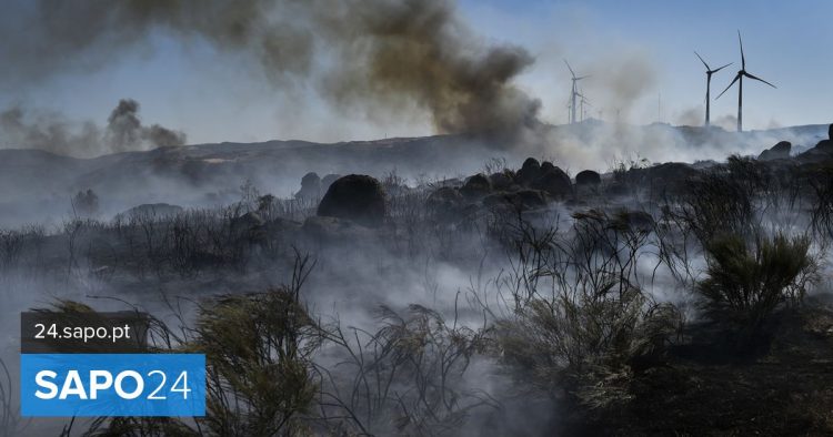 incendio serra