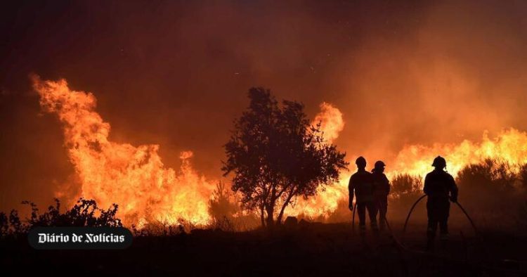 incendio serra