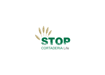 Projeto LIFE STOP Cortaderia