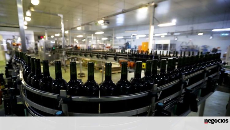 vinhos turismo
