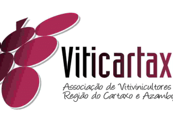 viticartaxo
