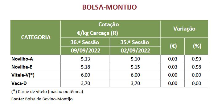 Cotaçoes Bovinos