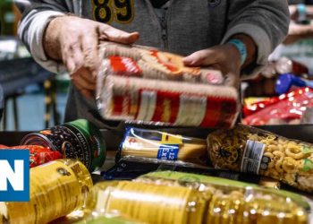alimentos ano portugues