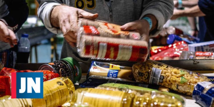 alimentos ano portugues