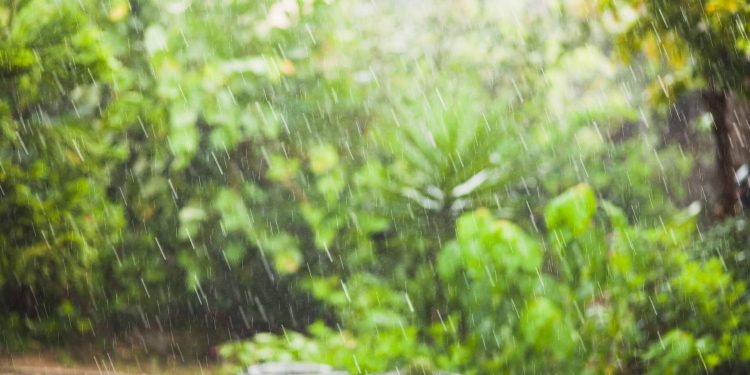 chuva nordeste transmontano