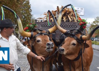 Festa do Agricultor