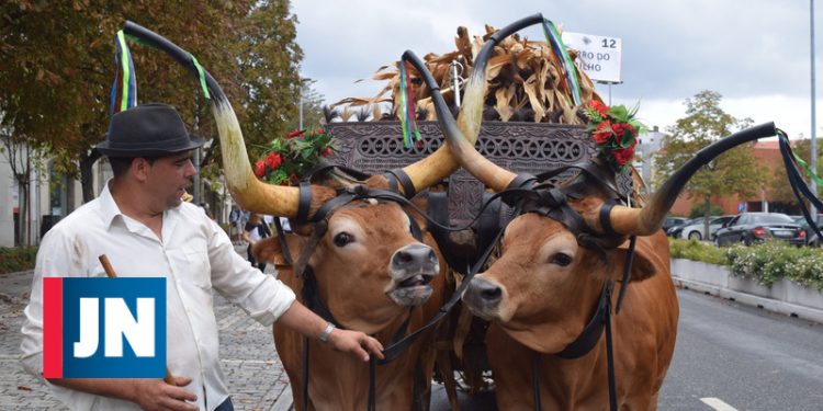 Festa do Agricultor