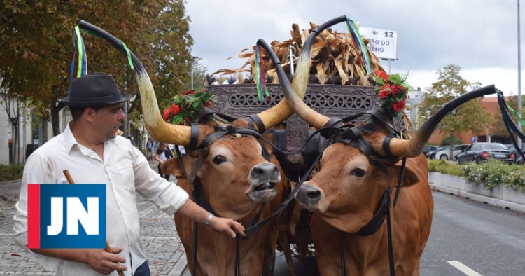 Festa do Agricultor