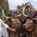 Festa do Agricultor