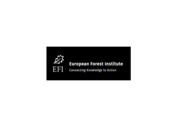 EFI