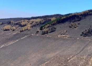 serra da estrela