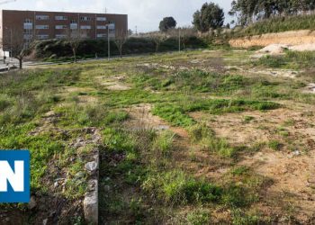 partilhas de terrenos