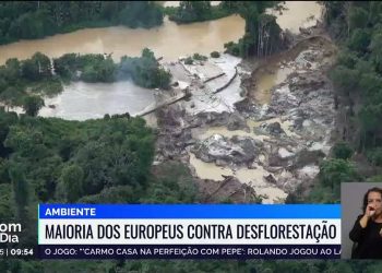 europeus contra desflorestação