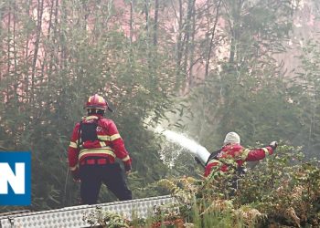 detidos por incêndio