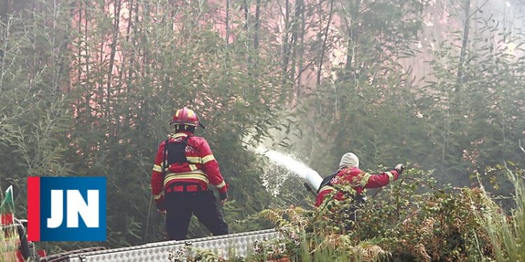 detidos por incêndio