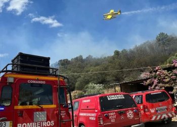 Operações em fogos rurais