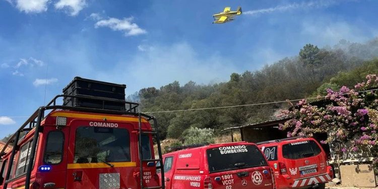 Operações em fogos rurais