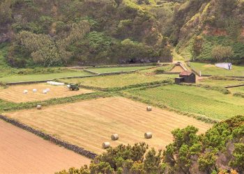 Seguros agrícolas legislação