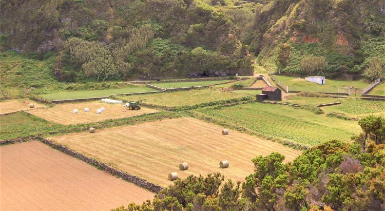 Seguros agrícolas legislação