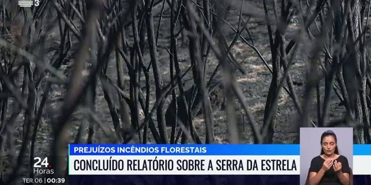 Serra da Estrela