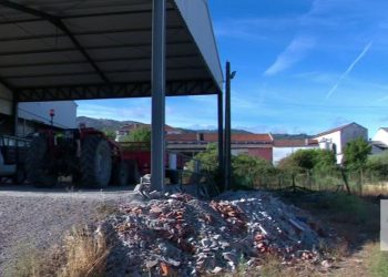 seca azeitona