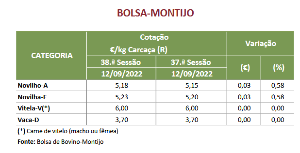 Cotações Bovinos