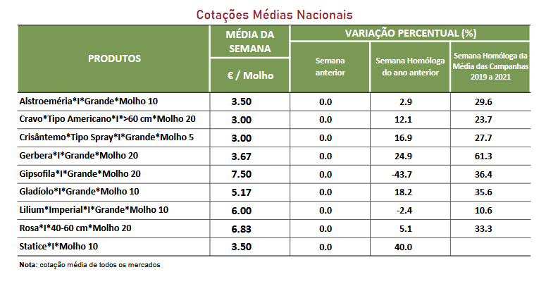 Cotações Flores