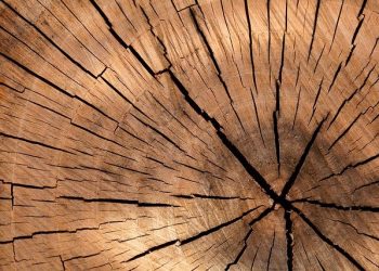 lumber