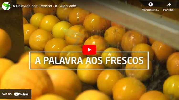 Palavras aos Frescos