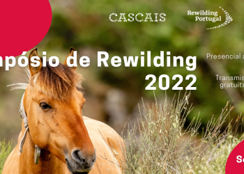 Rewilding 2022