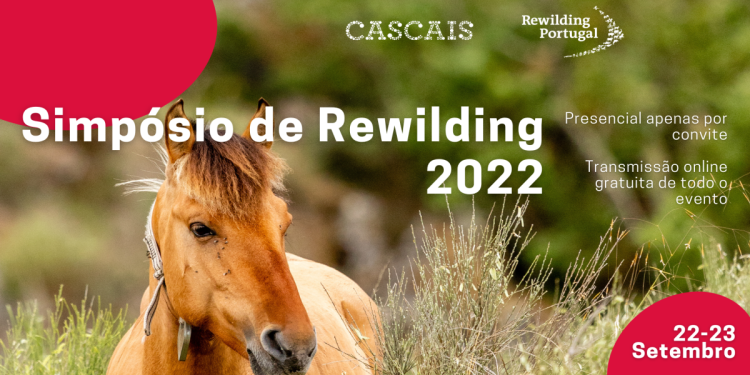 Rewilding 2022