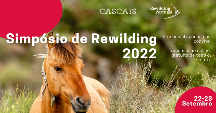 Rewilding 2022