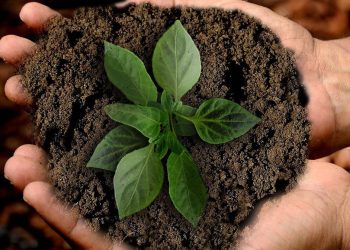 sustentabilidade