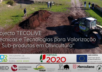 subprodutos em olivicultura