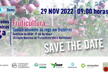 rega em fruteiras