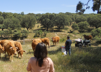 Esperança em acção no I Fórum Global da Década das Nações Unidas para a Agricultura Familiar