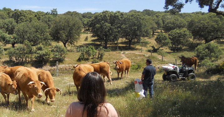 Esperança em acção no I Fórum Global da Década das Nações Unidas para a Agricultura Familiar