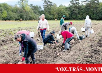 Cooperativa Agrícola do Barroso